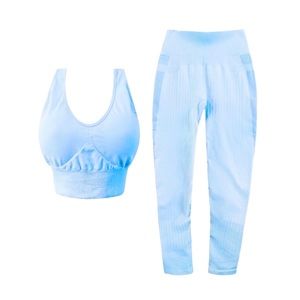 Varley Set Powder Blue Willard Bra Dixon Leggings